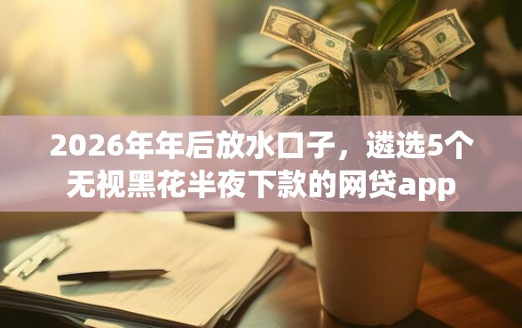 2026年年后放水口子，遴选5个无视黑花半夜下款的网贷app