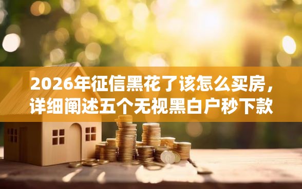 2026年征信黑花了该怎么买房，详细阐述五个无视黑白户秒下款app