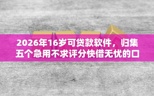 2026年16岁可贷款软件，归集五个急用不求评分快借无忧的口子