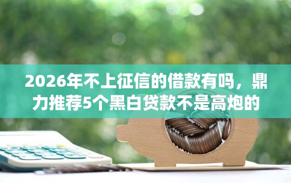 2026年不上征信的借款有吗，鼎力推荐5个黑白贷款不是高炮的app
