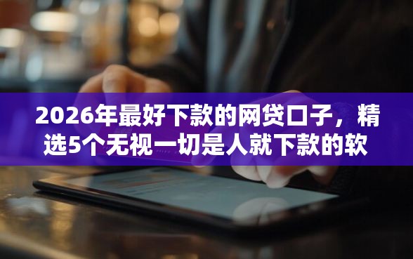 2026年最好下款的网贷口子，精选5个无视一切是人就下款的软件
