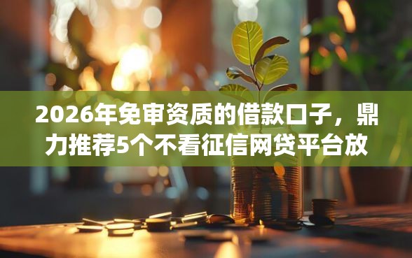 2026年免审资质的借款口子，鼎力推荐5个不看征信网贷平台放款快的app