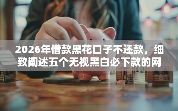 2026年借款黑花口子不还款，细致阐述五个无视黑白必下款的网贷口子