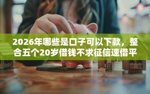 2026年哪些是口子可以下款，整合五个20岁借钱不求征信速借平台