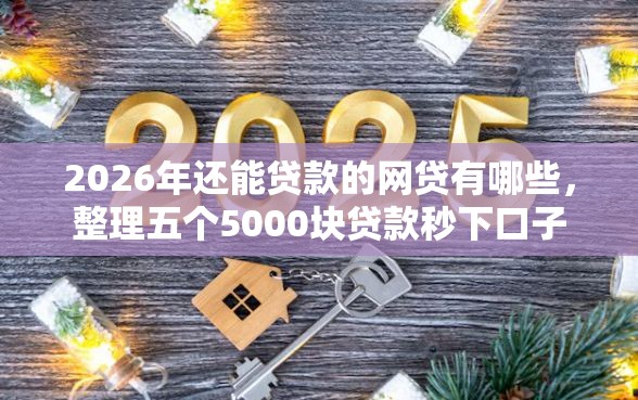 2026年还能贷款的网贷有哪些，整理五个5000块贷款秒下口子