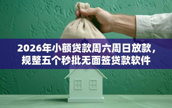 2026年小额贷款周六周日放款，规整五个秒批无面签贷款软件