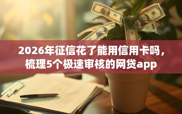 2026年征信花了能用信用卡吗，梳理5个极速审核的网贷app