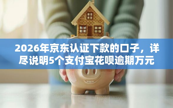2026年京东认证下款的口子，详尽说明5个支付宝花呗逾期万元快速贷款口子