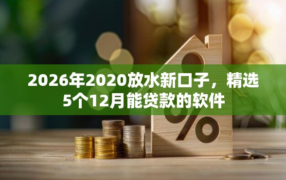 2026年2020放水新口子，精选5个12月能贷款的软件