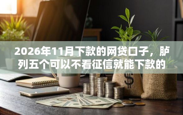 2026年11月下款的网贷口子，胪列五个可以不看征信就能下款的口子