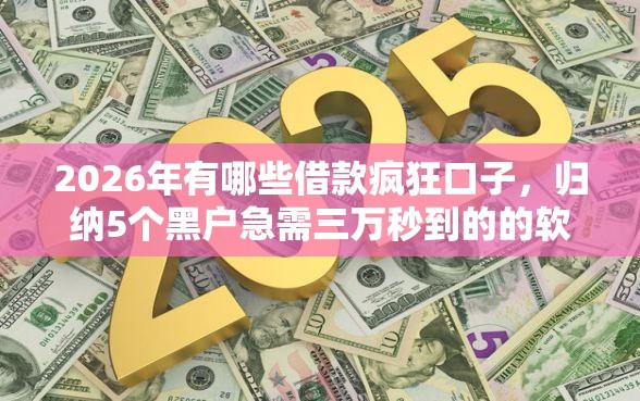 2026年有哪些借款疯狂口子，归纳5个黑户急需三万秒到的的软件