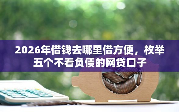 2026年借钱去哪里借方便,枚举五个不看负债的网贷口子 2026年借钱去哪里借方便,枚举五个不看负债的网贷口子