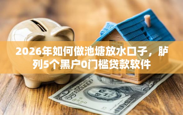 2026年如何做池塘放水口子，胪列5个黑户0门槛贷款软件