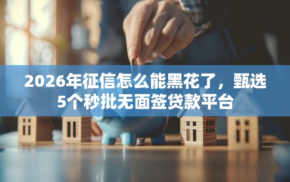 2026年征信怎么能黑花了，甄选5个秒批无面签贷款平台