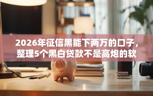 2026年征信黑能下两万的口子，整理5个黑白贷款不是高炮的软件