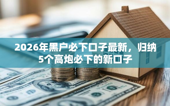 2026年黑户必下口子最新，归纳5个高炮必下的新口子