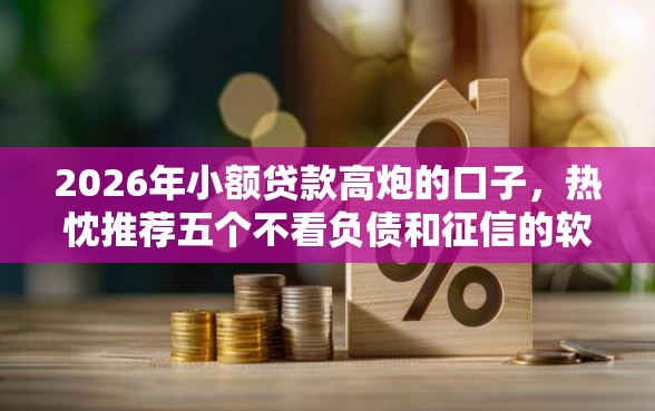 2026年小额贷款高炮的口子，热忱推荐五个不看负债和征信的软件
