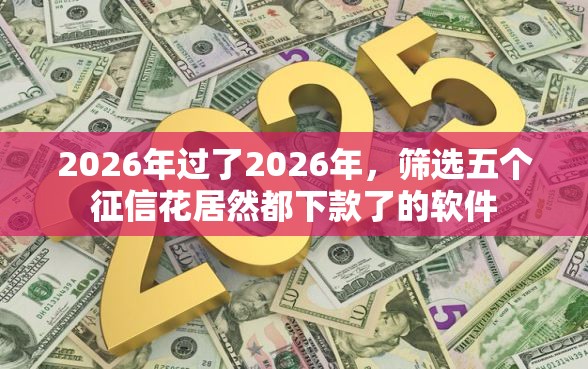 2026年过了2026年，筛选五个征信花居然都下款了的软件
