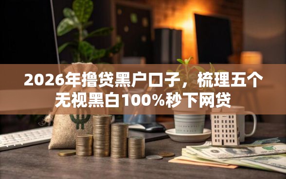 2026年撸贷黑户口子，梳理五个无视黑白100%秒下网贷