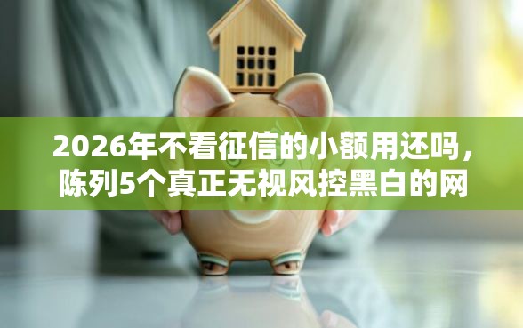 2026年不看征信的小额用还吗，陈列5个真正无视风控黑白的网贷软件