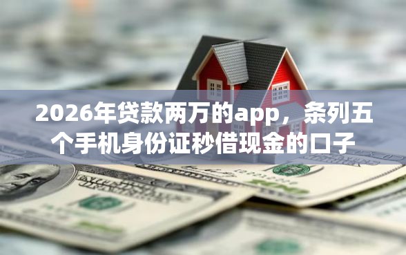 2026年贷款两万的app，条列五个手机身份证秒借现金的口子