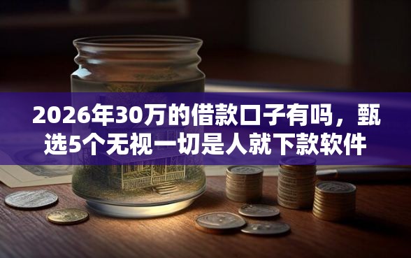 2026年30万的借款口子有吗，甄选5个无视一切是人就下款软件