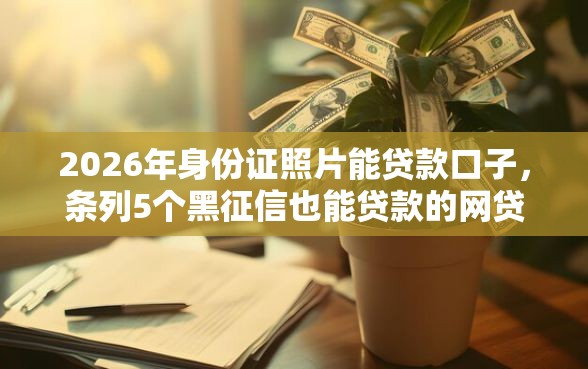 2026年身份证照片能贷款口子，条列5个黑征信也能贷款的网贷平台