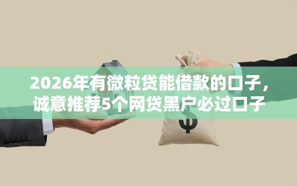 2026年有微粒贷能借款的口子,诚意推荐5个网贷黑户必过口子 2026年有微粒贷能借款的口子,诚意推荐5个网贷黑户必过口子
