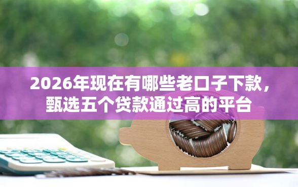 2026年现在有哪些老口子下款，甄选五个贷款通过高的平台