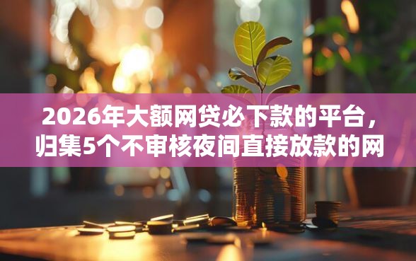 2026年大额网贷必下款的平台，归集5个不审核夜间直接放款的网贷软件