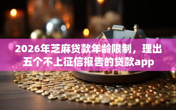 2026年芝麻贷款年龄限制，理出五个不上征信报告的贷款app