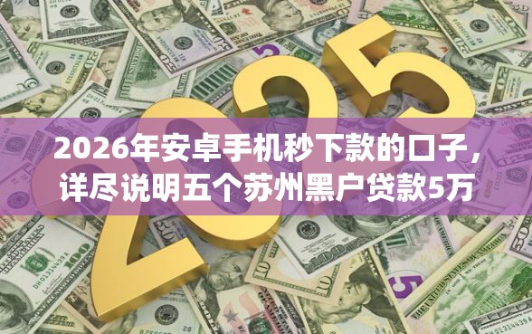2026年安卓手机秒下款的口子，详尽说明五个苏州黑户贷款5万的app