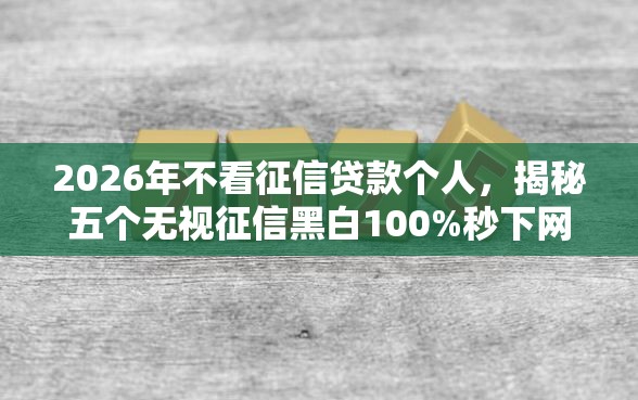 2026年不看征信贷款个人，揭秘五个无视征信黑白100%秒下网贷口子