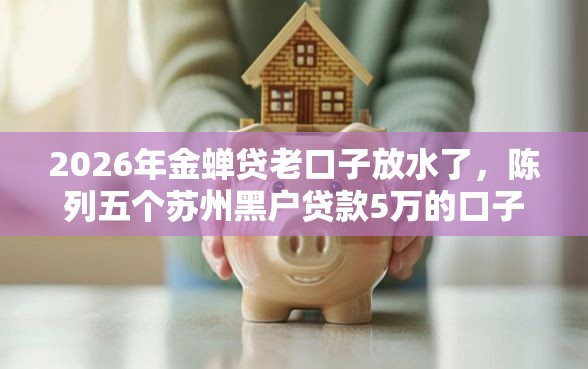 2026年金蝉贷老口子放水了，陈列五个苏州黑户贷款5万的口子