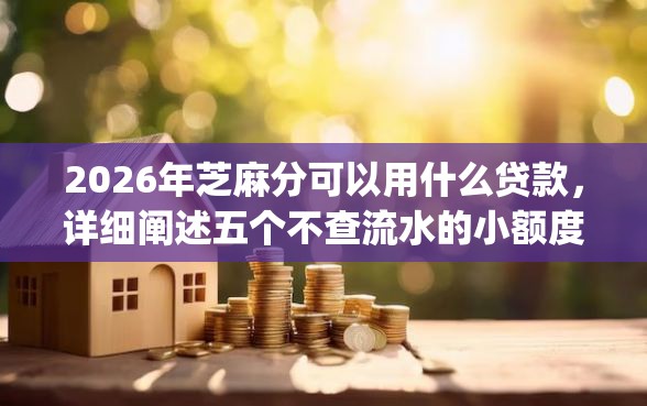 2026年芝麻分可以用什么贷款，详细阐述五个不查流水的小额度贷款app