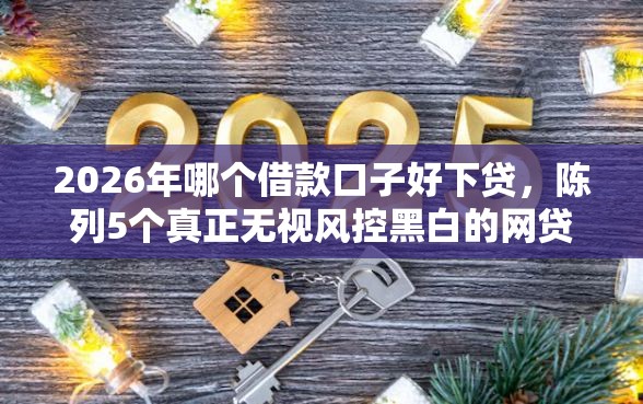 2026年哪个借款口子好下贷，陈列5个真正无视风控黑白的网贷软件