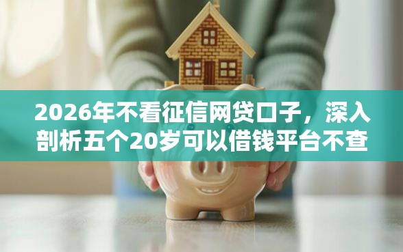 2026年不看征信网贷口子，深入剖析五个20岁可以借钱平台不查征信的平台
