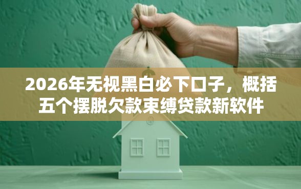 2026年无视黑白必下口子，概括五个摆脱欠款束缚贷款新软件