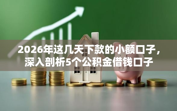 2026年这几天下款的小额口子,深入剖析5个公积金借钱口子 2026年这几天下款的小额口子,深入剖析5个公积金借钱口子