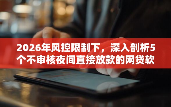 2026年风控限制下，深入剖析5个不审核夜间直接放款的网贷软件