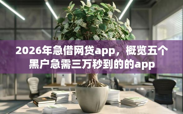 2026年急借网贷app，概览五个黑户急需三万秒到的的app