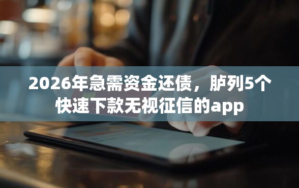 2026年急需资金还债，胪列5个快速下款无视征信的app