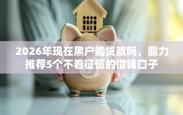 2026年现在黑户能贷款吗，鼎力推荐5个不看征信的借钱口子