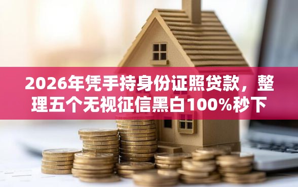 2026年凭手持身份证照贷款，整理五个无视征信黑白100%秒下平台