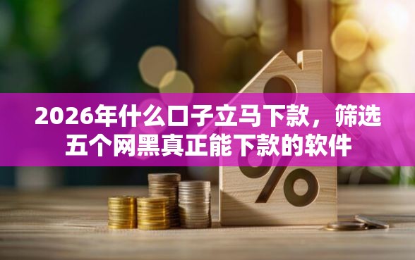 2026年什么口子立马下款,筛选五个网黑真正能下款的软件 2026年什么口子立马下款,筛选五个网黑真正能下款的软件