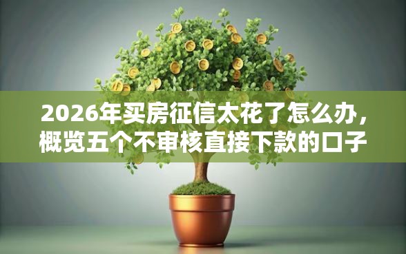 2026年买房征信太花了怎么办,概览五个不审核直接下款的口子 2026年买房征信太花了怎么办,概览五个不审核直接下款的口子