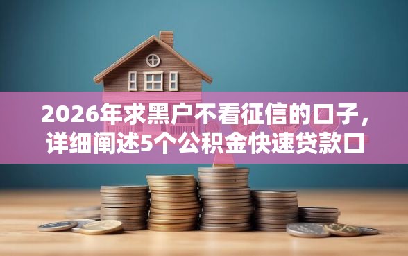 2026年求黑户不看征信的口子，详细阐述5个公积金快速贷款口子