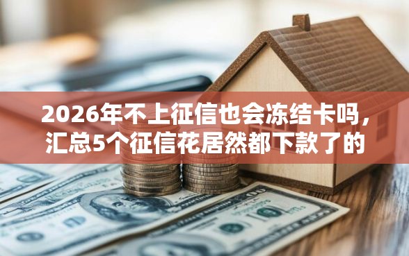 2026年不上征信也会冻结卡吗，汇总5个征信花居然都下款了的口子