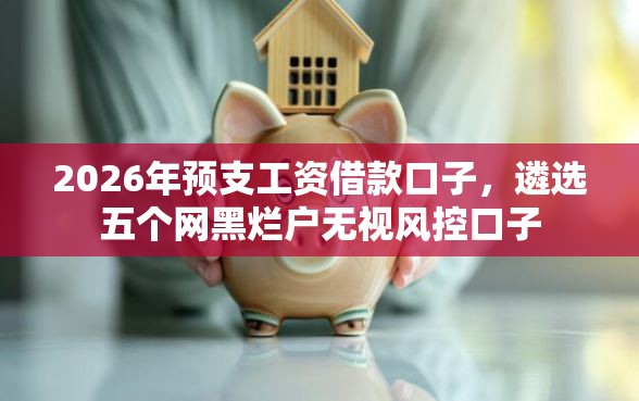 2026年预支工资借款口子，遴选五个网黑烂户无视风控口子