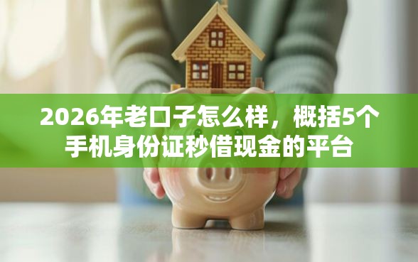 2026年老口子怎么样，概括5个手机身份证秒借现金的平台